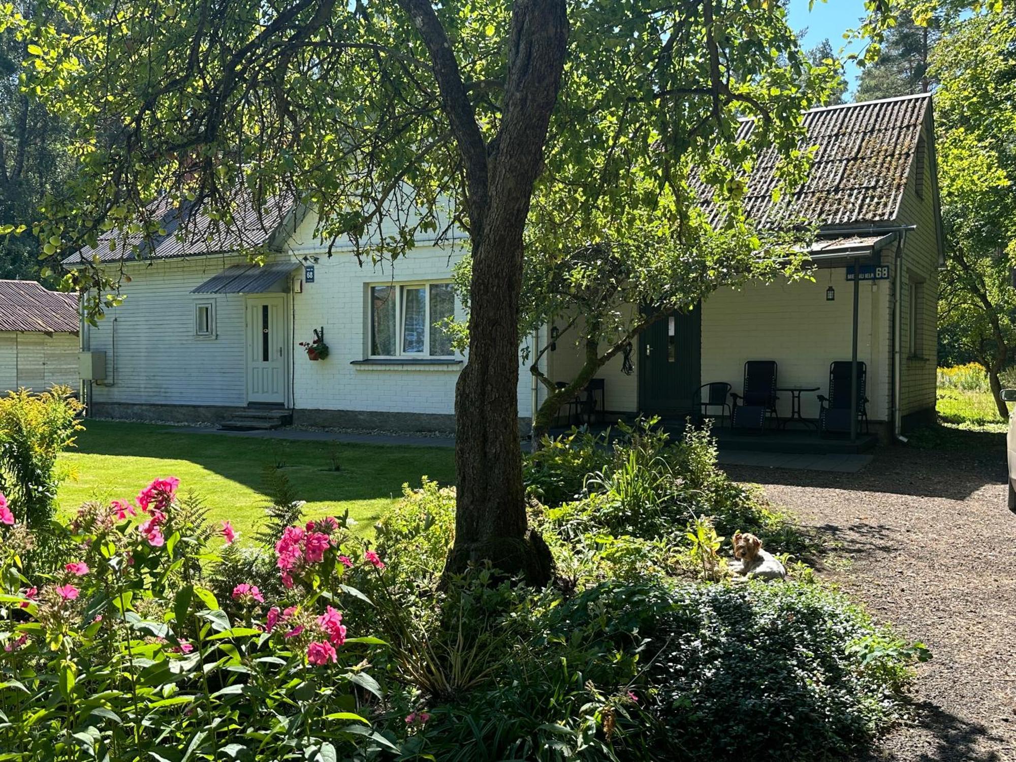 Holiday home Strawberry Forest *